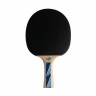 Ракетка DONIC LEGENDS 700